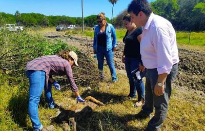 Fiscalía desentierra restos de 36 perros baleados tras allanar estancia