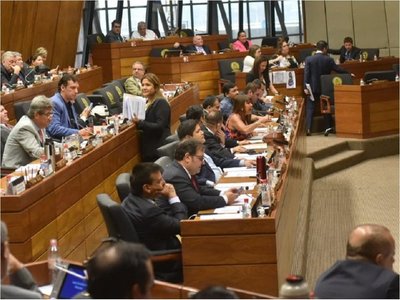 Congreso sanciona creación del Registro de Deudores Alimentarios Morosos