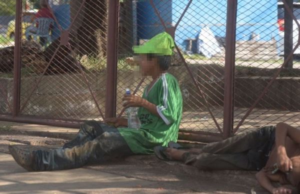 Indi planea reinsertar a nativos con planes agrícolas y Sinafocal