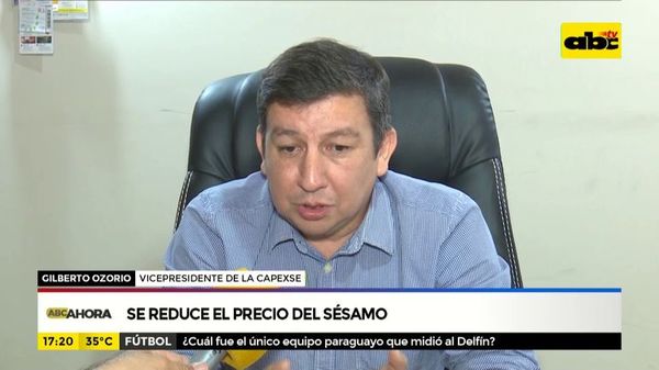 Se reduce el precio del sésamo en el plano internacional  - ABC Noticias - ABC Color