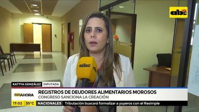 Crean registro de deudores alimentarios morosos - ABC Noticias - ABC Color