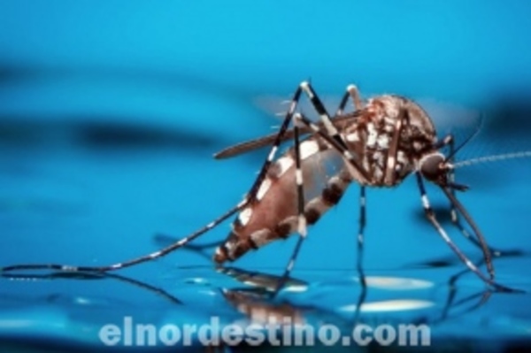 Universidad argentina creó un método para detectar si una persona tiene dengue en diez minutos