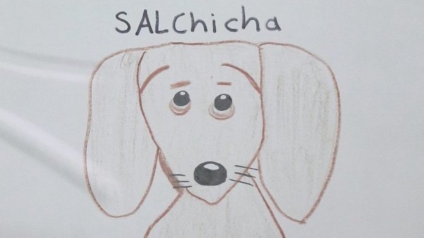 Con dibujo busca a su perro porque falta foto | Crónica