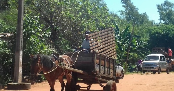 Cuartel de la Victoria: los usurpadores ya se retiraron, pero dejaron abundante basura y árboles derribados