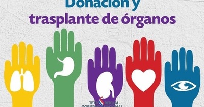 Siete barreras para la donación de órganos