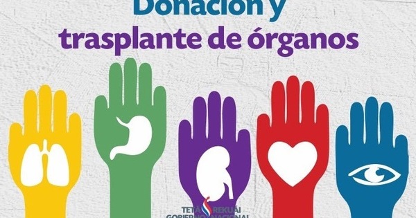 Siete barreras para la donación de órganos