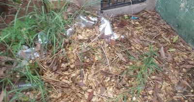 Queja ciudadana: “El cementerio en ruinas”