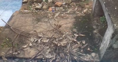 Queja ciudadana: “Cementerio de San Lorenzo en ruinas”