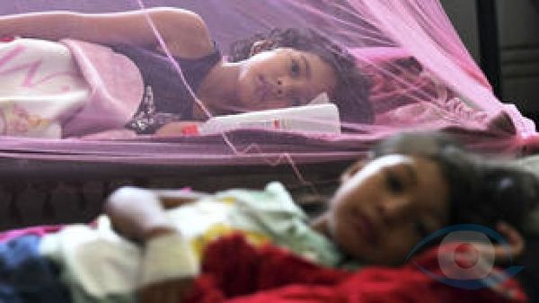 Mientras el mundo mira al coronavirus, América Latina vive la peor epidemia de dengue de su historia