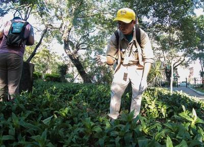 Dengue: Hay menos notificaciones pero las altas temperaturas hacen que el riesgo continúe, dicen - ADN Paraguayo