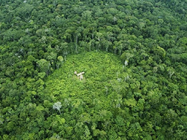 Misionero evangélico condenado por poner en riesgo etnia en Amazonía