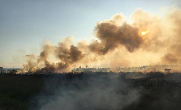 HOY / Incendio presuntamente provocado sería para amedrentar a empresa, denuncian