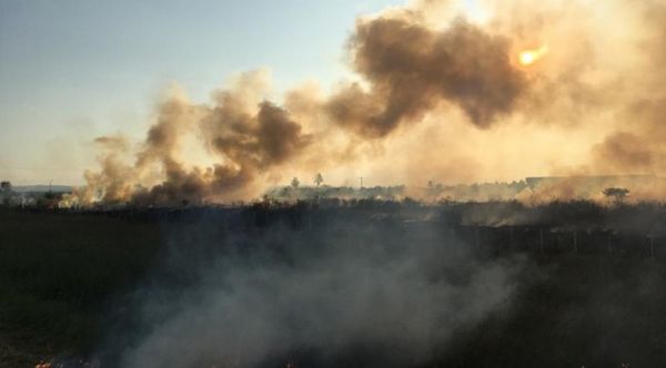 Incendio presuntamente provocado sería para amedrentar a empresa, denuncian