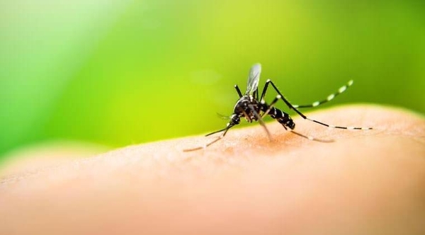 HOY / Dengue espanta a turistas: hoteleros registran 30% de cancelación