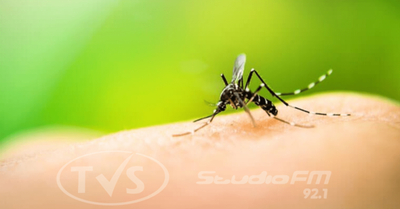 Dengue espanta a turistas: hoteleros registran 30% de cancelación