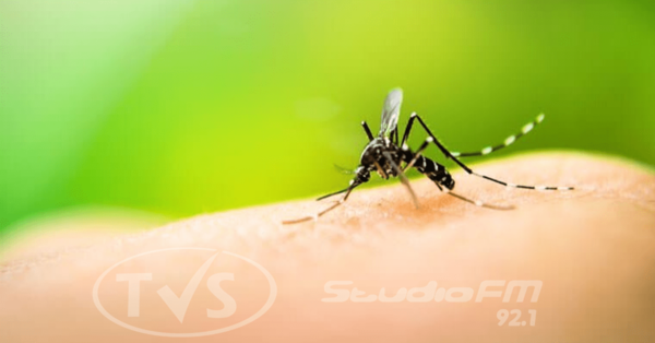 Dengue espanta a turistas: hoteleros registran 30% de cancelación