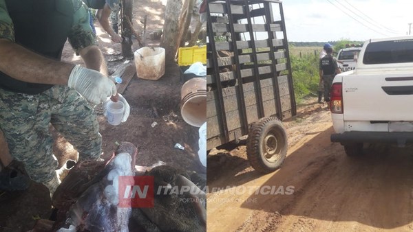DIVISIÓN ANTIABIGEATO BRINDA RECOMENDACIONES PARA EL TRASLADO DE ANIMALES VACUNOS.