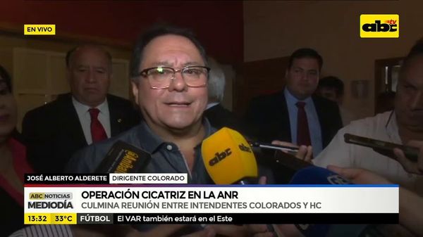 Operación cicatriz en la ANR - ABC Noticias - ABC Color