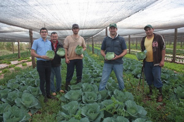 EDUARDO, LAURO Y OSCAR, LOS HERMANOS QUE SE DESTACAN EN EL RUBRO DE LA HORTICULTURA EN NVA. ALBORADA
