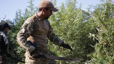 Duro golpe al narcotráfico con operativo en Reserva Morombi
