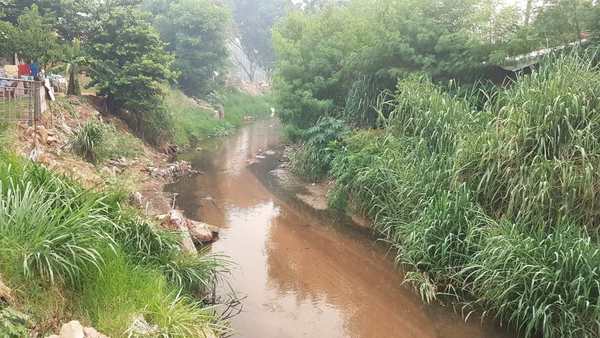 Vecinos hacen concientización para no tirar basuras al arroyo San Lorenzo | San Lorenzo Py