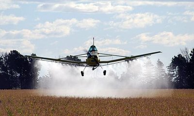'Semana Sin Plaguicidas': Instan al cese de utilización de agrotóxicos