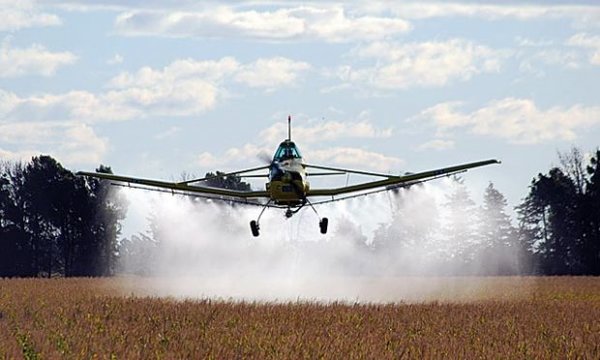 'Semana Sin Plaguicidas': Instan al cese de utilización de agrotóxicos