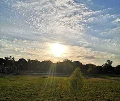 Se espera un día cálido a caluroso