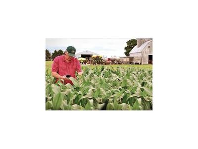Agricultores argentinos anuncian huelga por nuevo impuesto