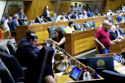 Forman comisiones para estudiar intervenciones en Concepción, Pedro Juan y Tte.  Martínez