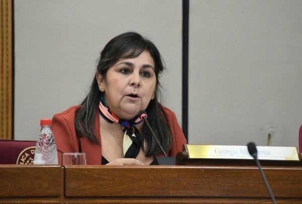 Zonas Francas: Apelan al diálogo para beneficiar al comercio de frontera