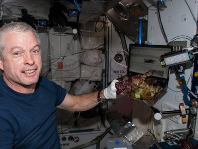 NASA cultiva en el espacio lechugas sin microbios y seguras para consumo