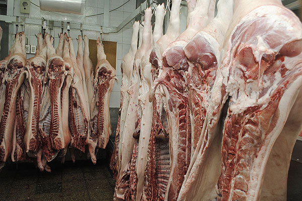 Brasil cerró febrero con exportaciones récord de carne de cerdo