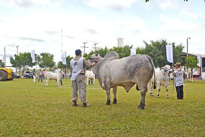 Recesión económica y clima determinaron la suspensión de Expo Curuguaty