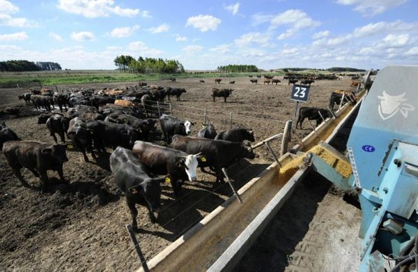 Ganaderos de EE.UU. preocupados por “violaciones de seguridad alimentaria” de Brasil