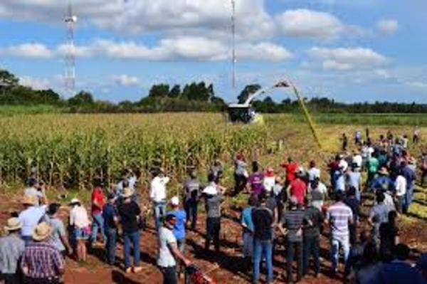 El MAG participará de la feria Innovar en Yguazú