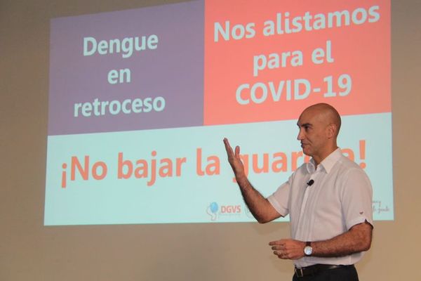 Ministerio de Salud habla de un descenso de casos de dengue tras 46 fallecimientos  - Nacionales - ABC Color