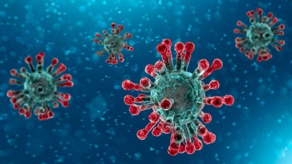 HOY / Colegio desmiente caso de coronavirus y lamenta desinformación