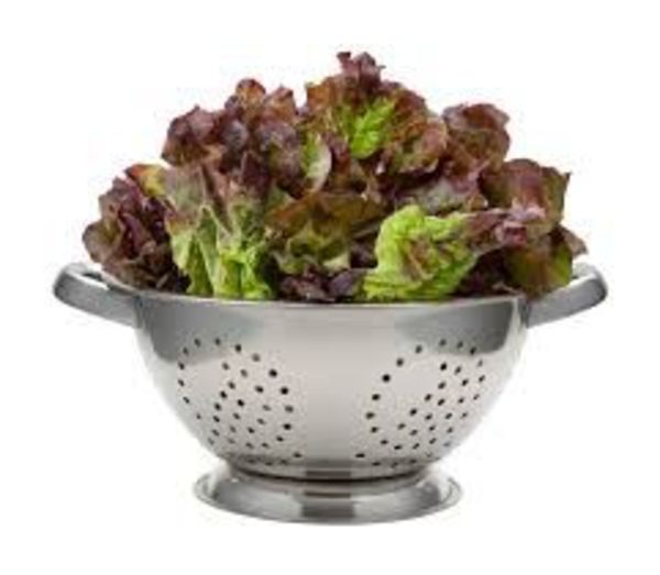 La NASA cultiva en el espacio lechugas sin microbios y seguras para consumo - Ciencia - ABC Color