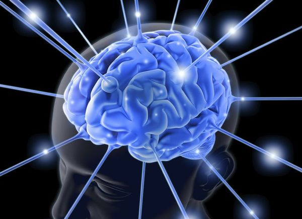 Gina Rippon: Cada cerebro es diferente y refleja la vida que ha tenido - Ciencia - ABC Color