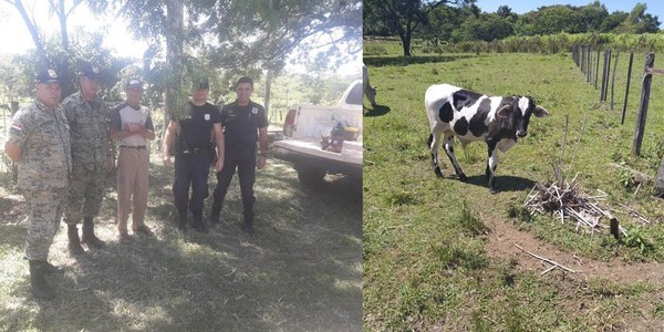 RECUPERAN ANIMALES VACUNOS DE UN PRODUCTOR EN FRAM