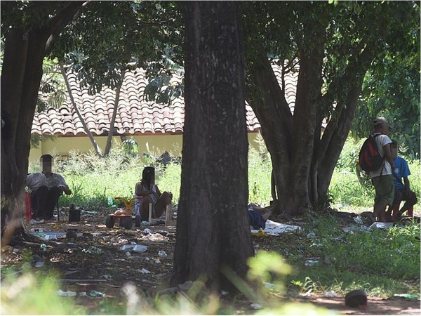 Adictos se mezclan con indígenas en matorrales atrás de la Terminal