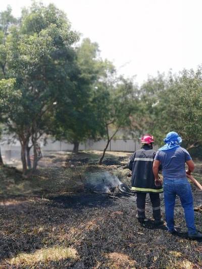 Municipalidades deben accionar contra gente que realiza quemazón | San Lorenzo Py