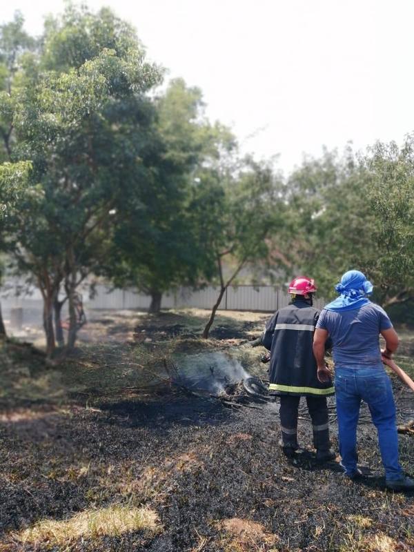 Municipalidades deben accionar contra gente que realiza quemazón | San Lorenzo Py