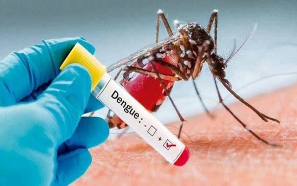 HOY / La psicosis por coronavirus dispersa gravedad de dengue que ya mató a 46 y habría más