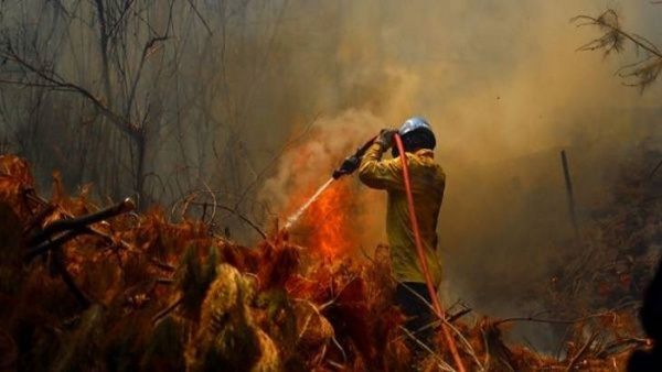 Incendio deja 470 hectáreas afectadas en Chile