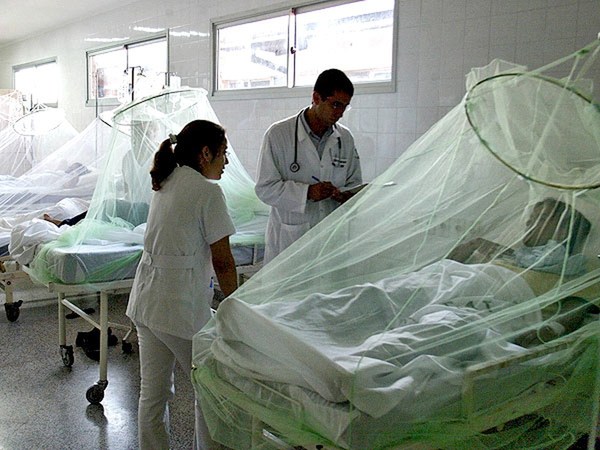 El dengue ya mató a 46, hay otros 70 casos, pero el coronavirus que aún no ingresó “oculta” el drama - ADN Paraguayo