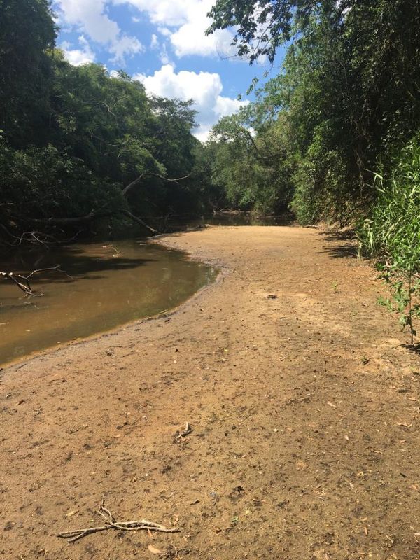 Buscan solución para conflicto ambiental en Carapeguá