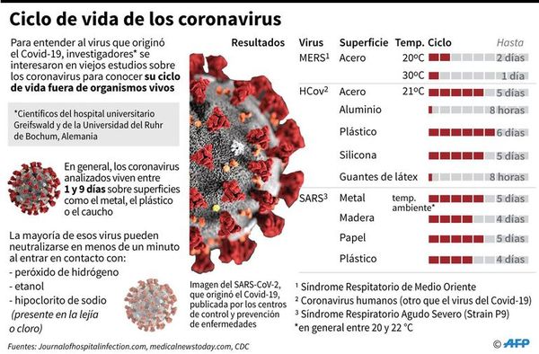 Los diez mandamientos para luchar globalmente contra el coronavirus - Nacionales - ABC Color