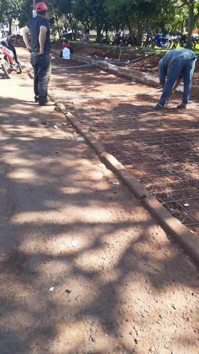 Cortan arboles de pino en el barrio Jardín Aurora y los vecinos se manifiestan